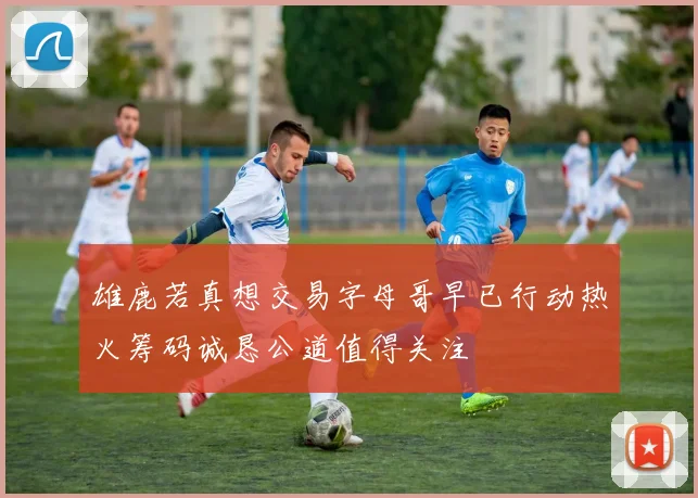 雄鹿若真想交易字母哥早已行动热火筹码诚恳公道值得关注